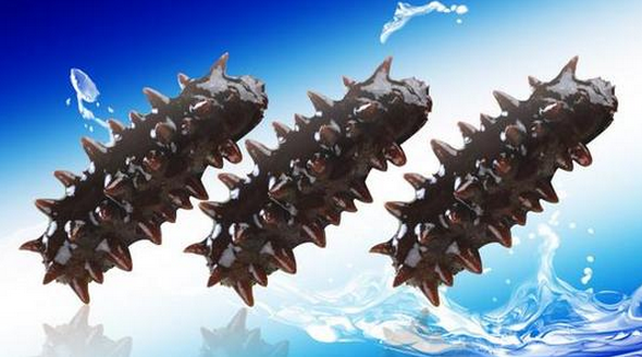 長島縣長山海珍品有限責任公司 長島縣長山海珍品有限責任公司